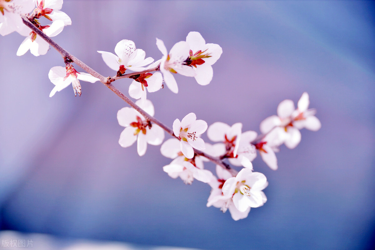 为什么对别人越好别人越不尊重,为什么你对别人好反而不尊重你