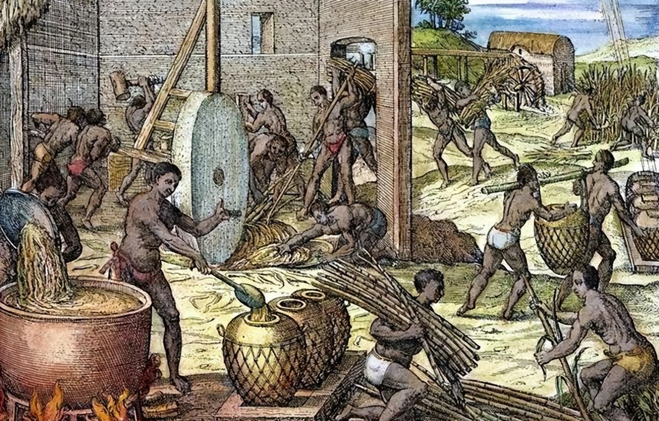 苏里南殖民统治,苏里南纽约