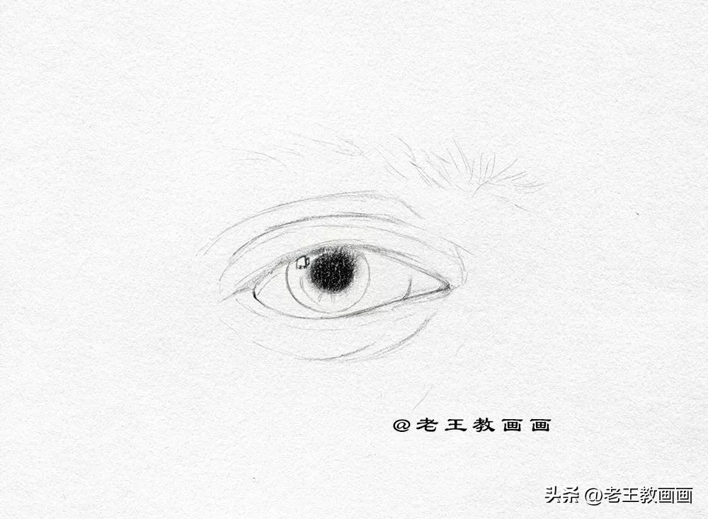 零基础如何画好素描,素描人物头像五官之眼睛结构