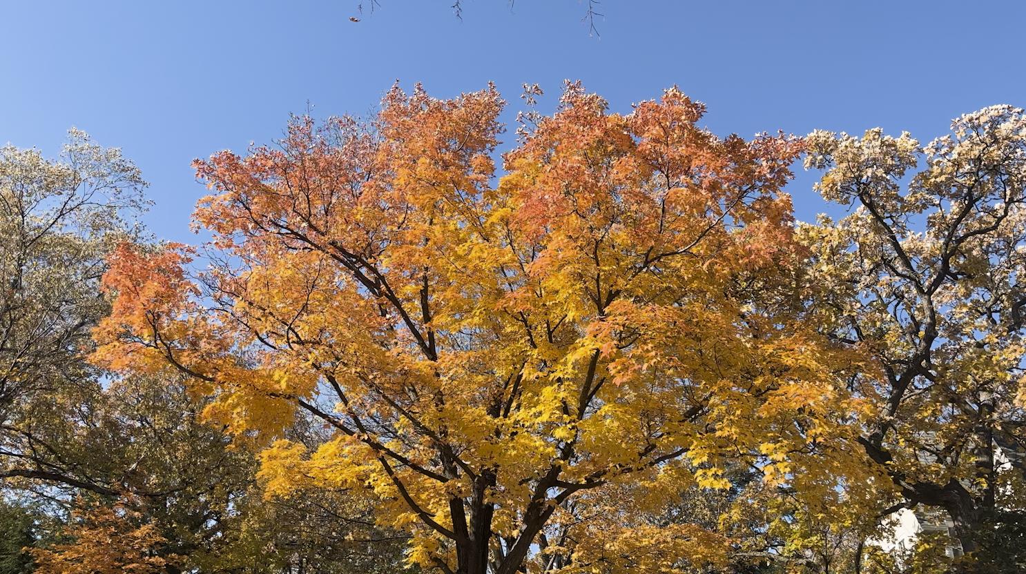 premierepro是什么软件,premierepro入门教程