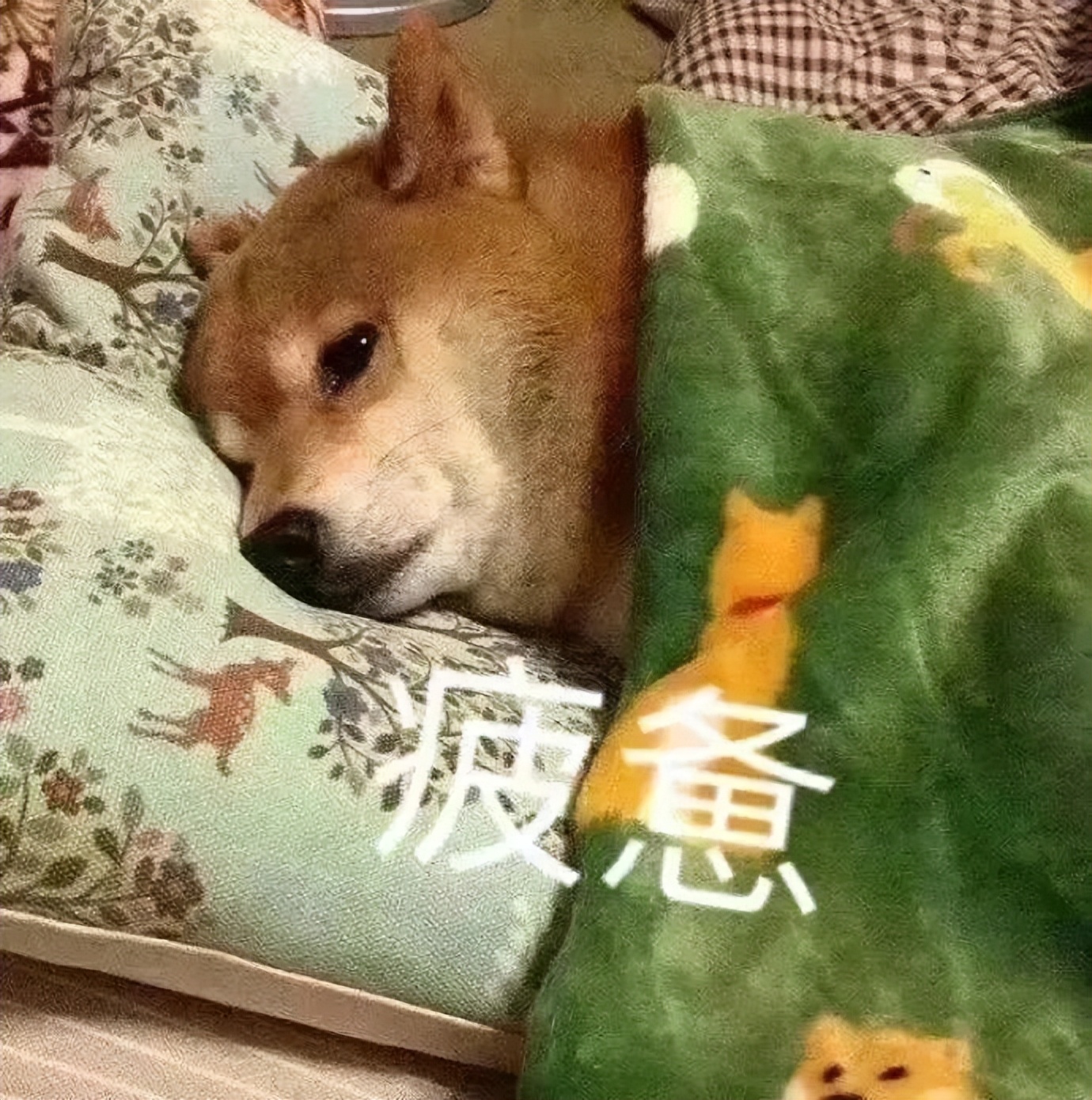 负债了5w怎么和父母说,你们是如何还清负债的