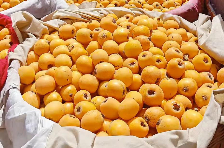 5月底的新鲜应季水果,夏天必吃的5种应季水果