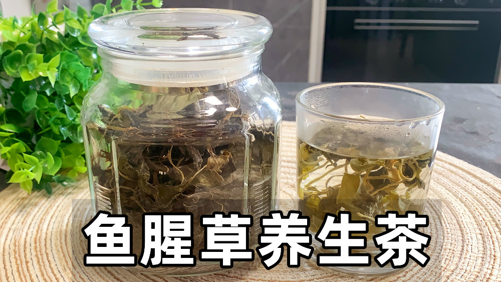 鱼腥草茶怎样做,鱼腥草茶怎么做