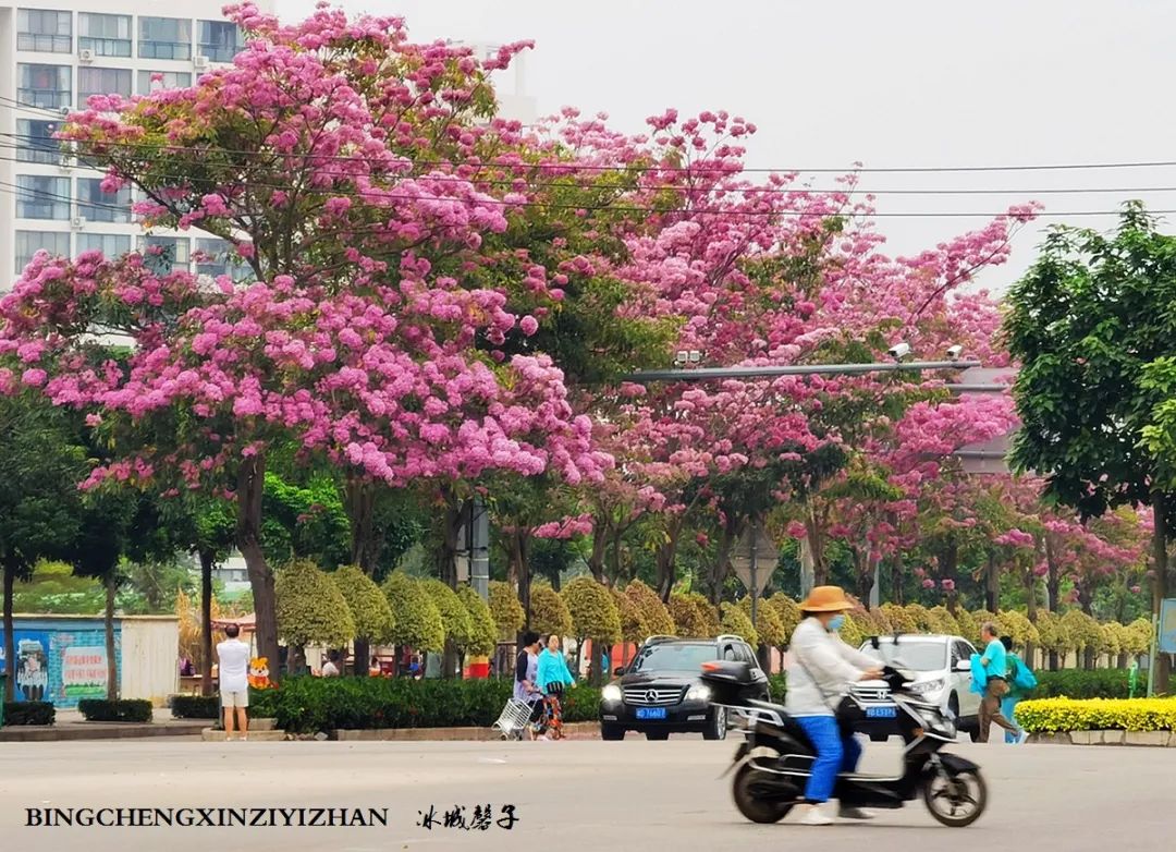 旅居海南,旅居式旅游生活海南