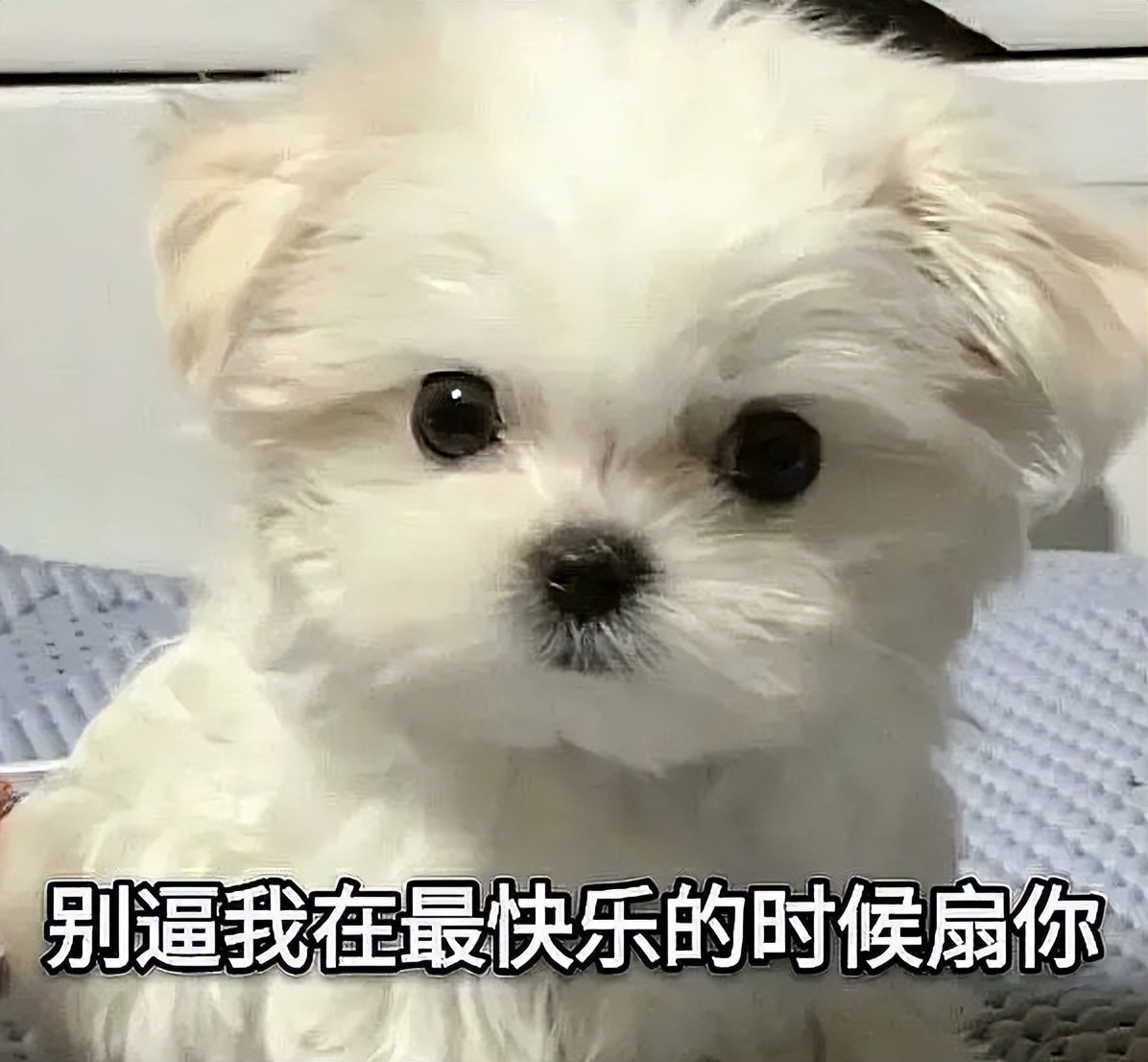 造谣王一博使其怀孕者道歉：我是粉丝口嗨，对不起！