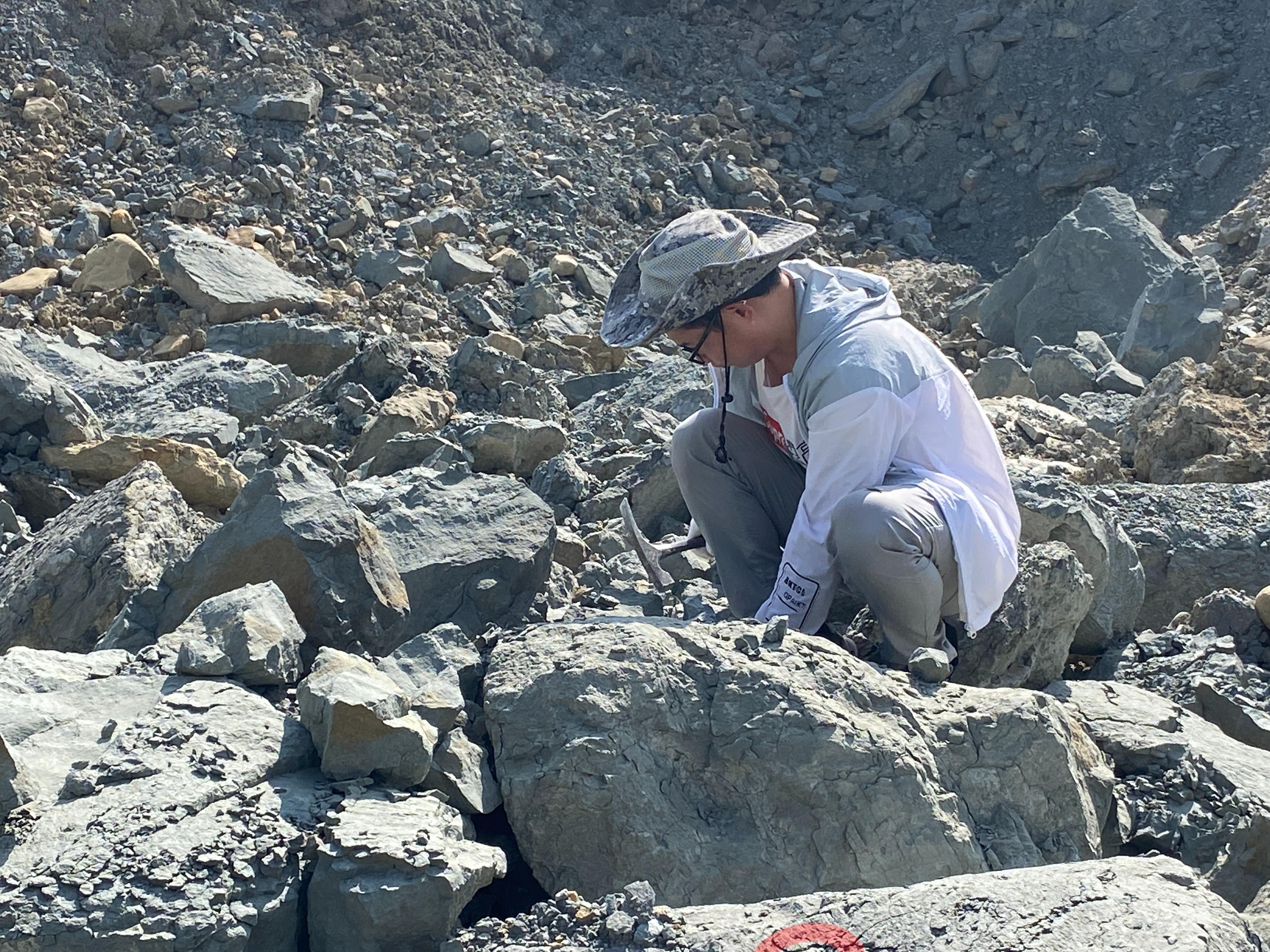 云南5亿年前鱼化石,中国远古鱼类化石