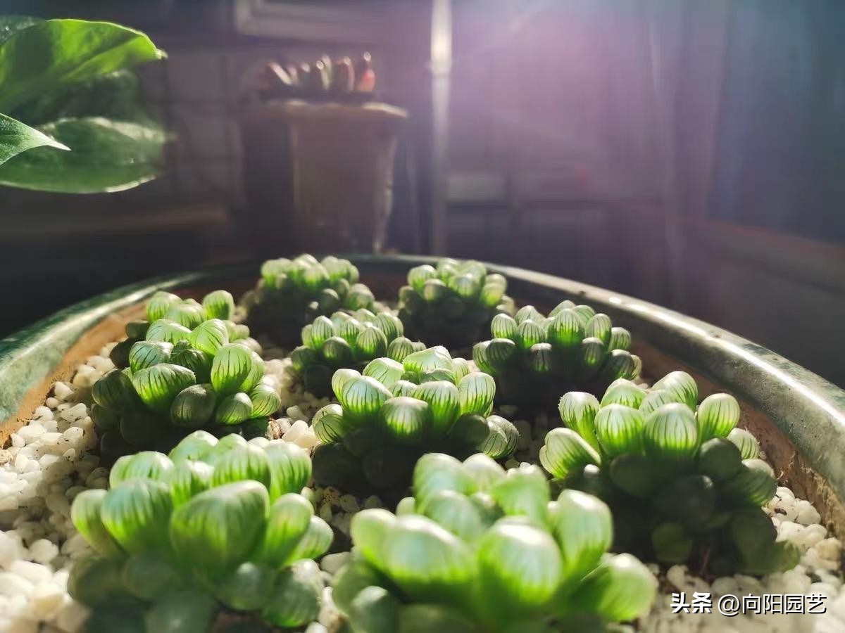 100元左右补光灯怎么选,便宜的补光灯有没有用