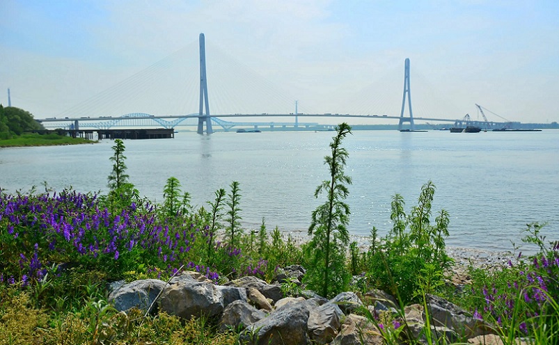 南京免费景点排行榜前十名,南京旅游年卡免费景点一览表