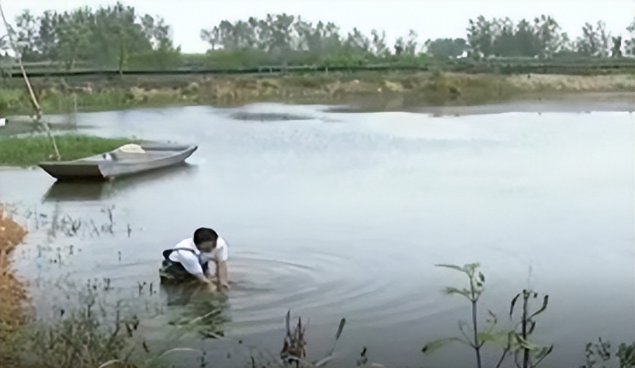 两只螃蟹拍卖出20万，农村大叔养出天价蟹，带动当地年收入20亿