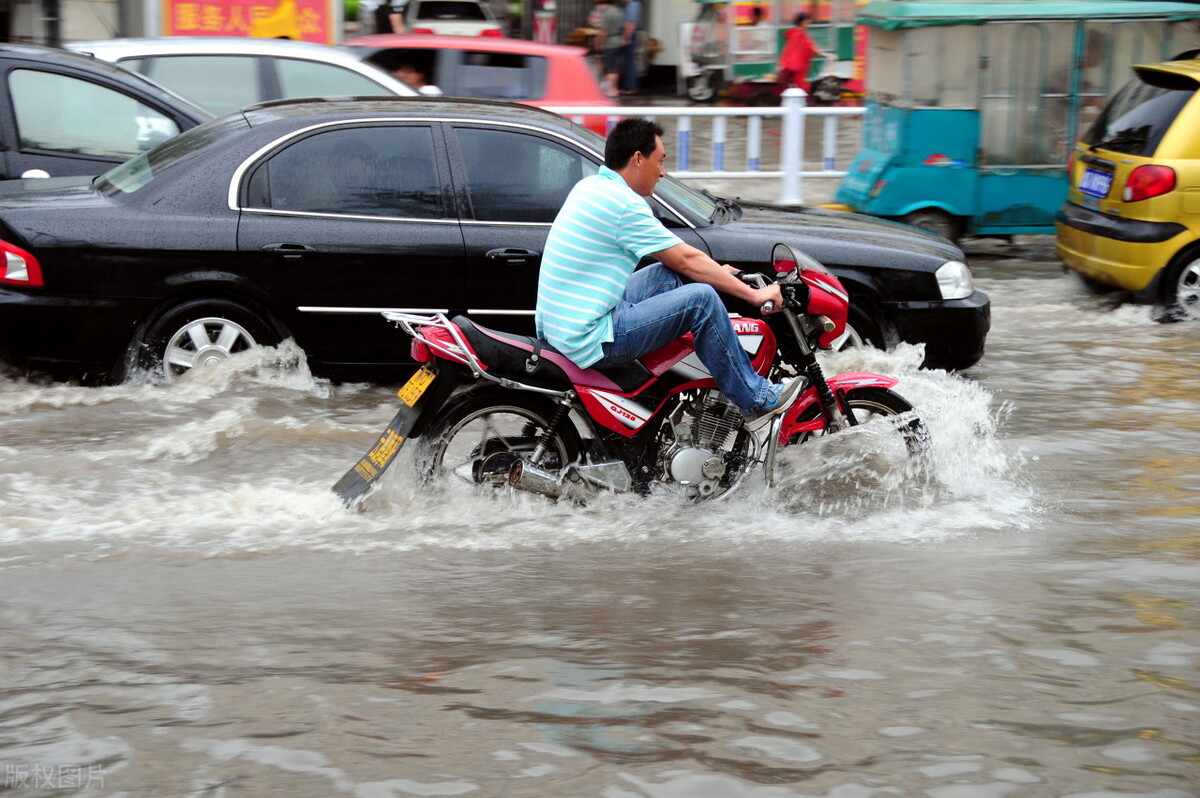 山东临沂市郯城县二胡生产基地,山东省临沂市郯城县县城