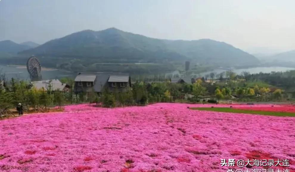 大连春季旅游踏青路线请收藏备用,大连秋游去哪里最好玩