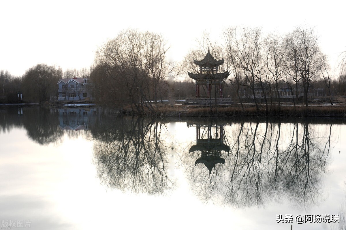 丹青呈万象翰墨耀千秋,丹青呈万象翰墨颂千秋