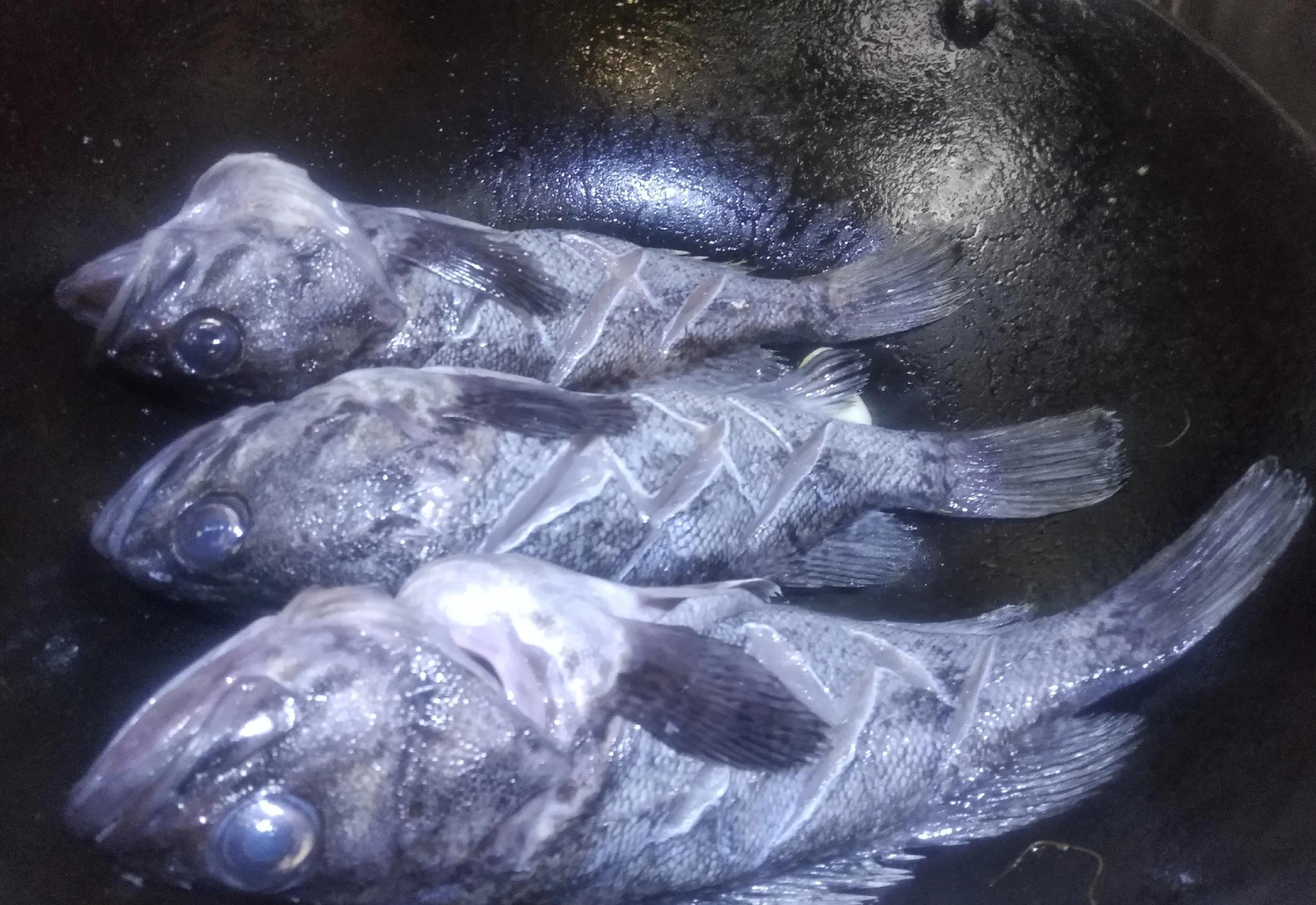 适合四月吃的海鱼有哪几种,这个季节适合吃什么样的海鱼