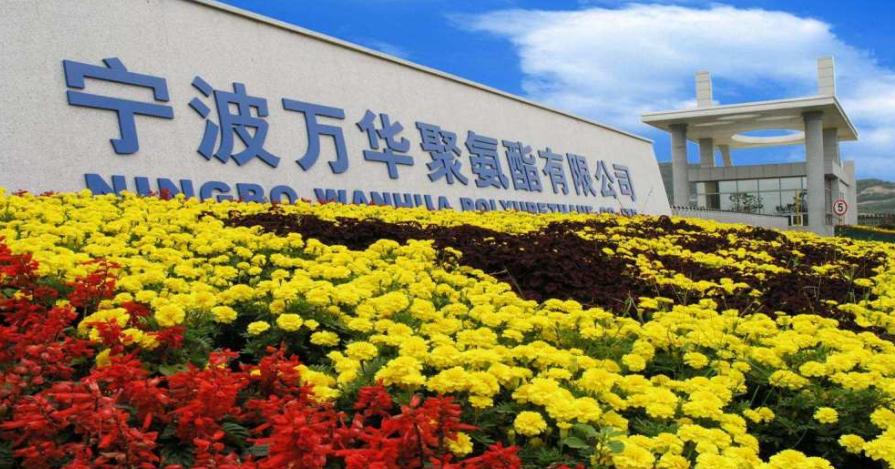 万华化学竞争力分析,丁建生持有万华化学多少股票