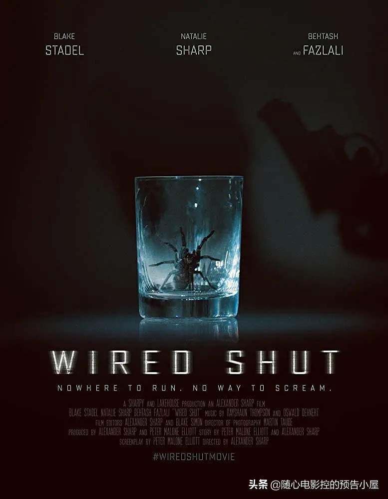 6月25日上线新片汇总,6月5日上线新片汇总