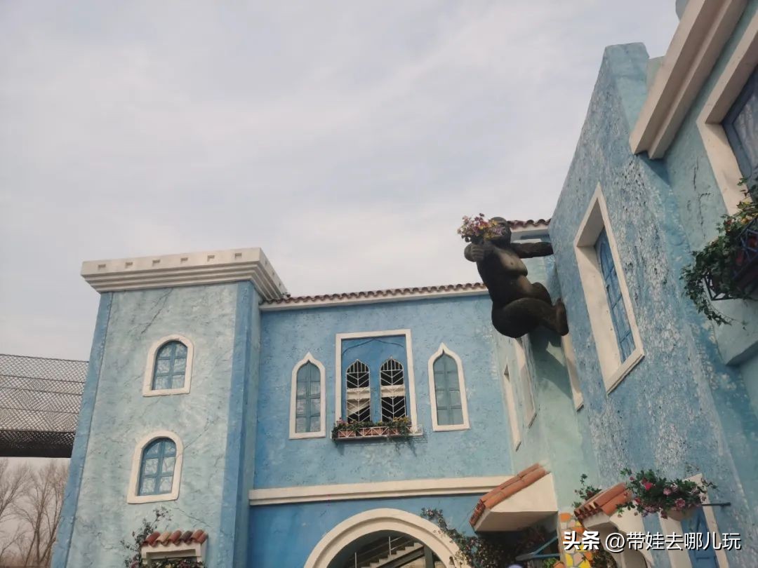 一天玩遍北京野生动物园,包场去鸟巢