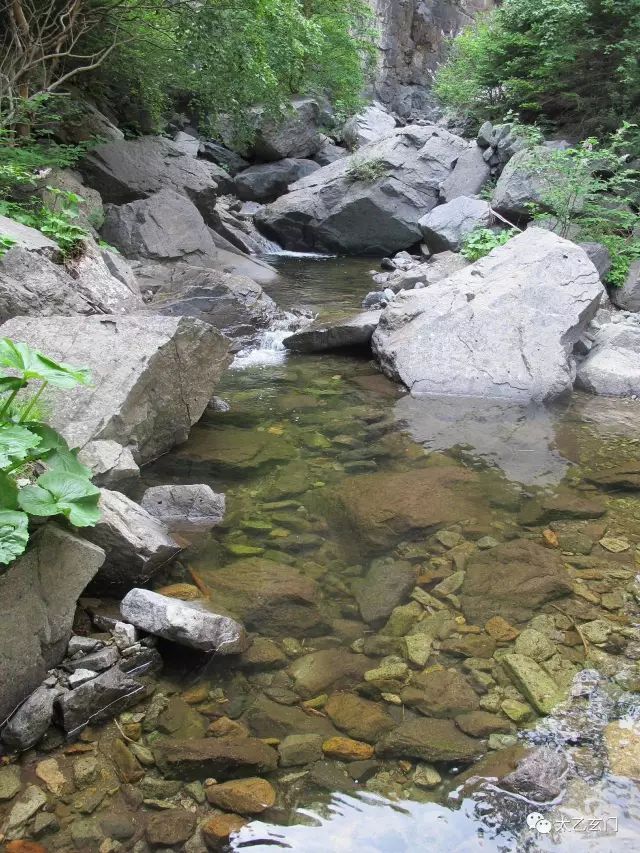 小五台山金莲花坡,小五台金莲花