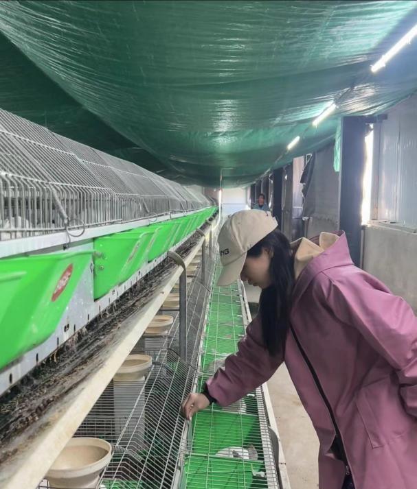 养兔子怎么干净卫生,养兔子的缺点和坏处