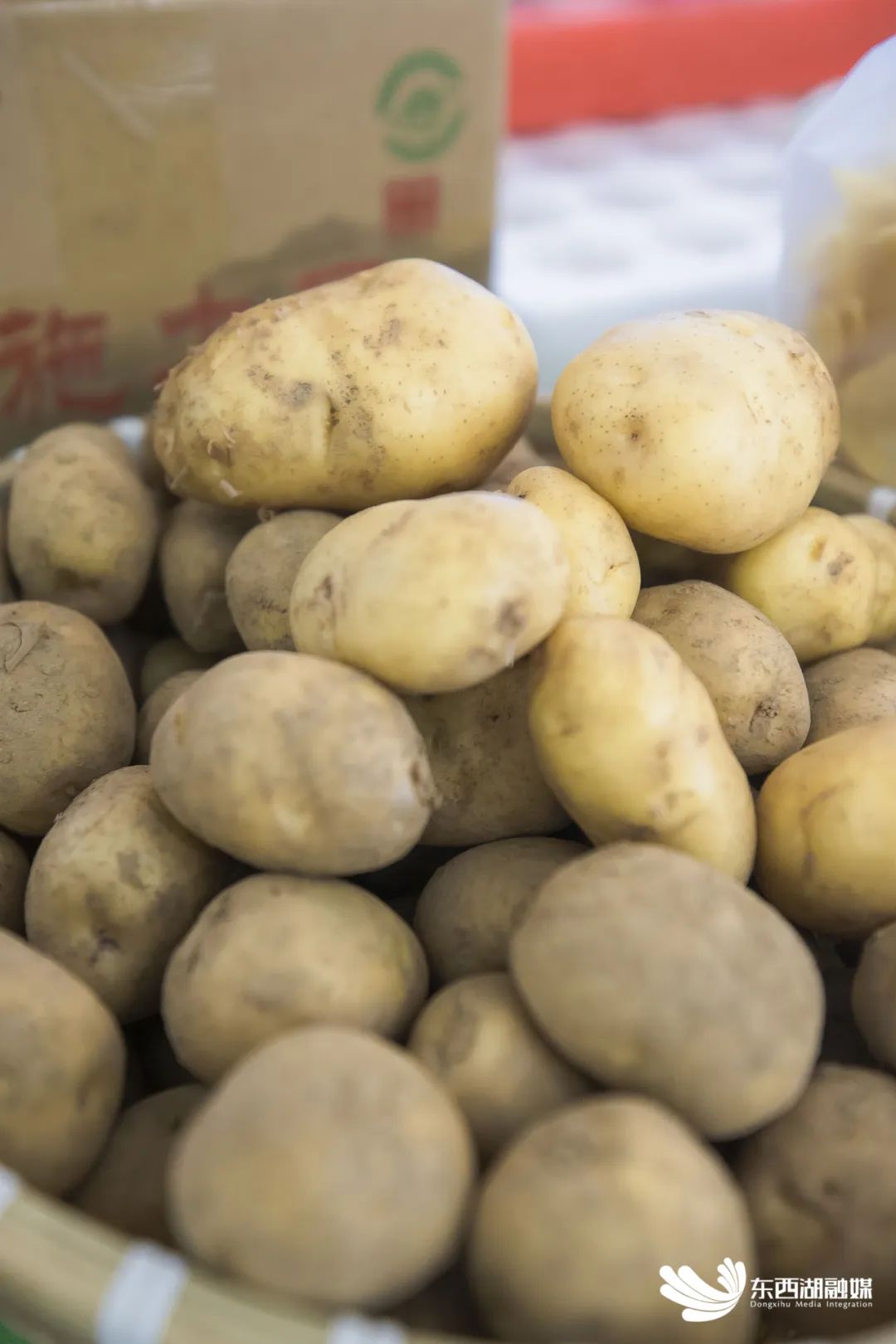 东西湖有个好兄弟！必！须！挺！