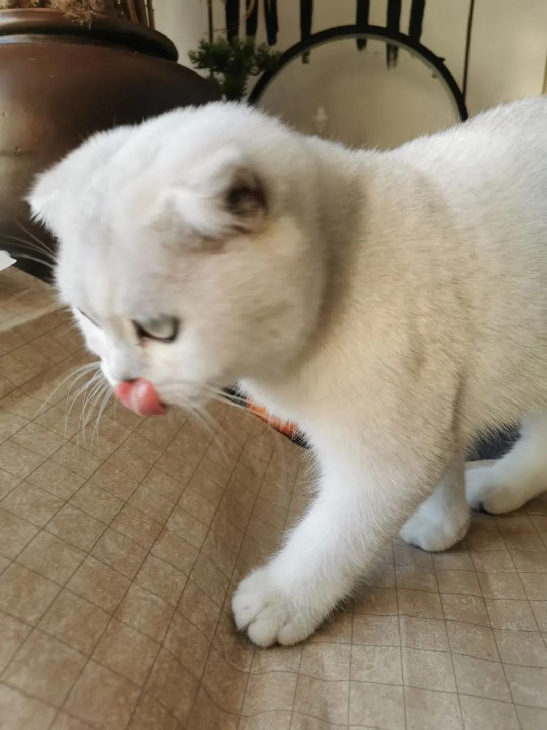 人生如棋走好属于你的那一步,人生如棋局每走一步不许回头