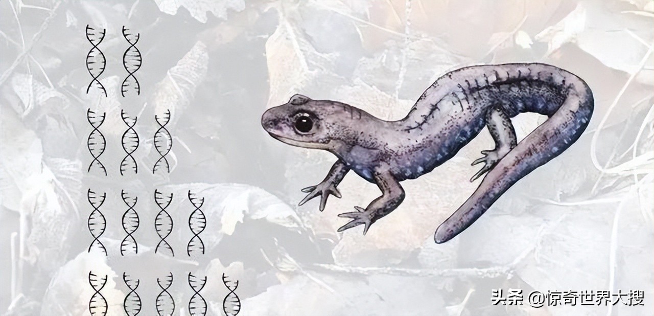 十五个令人震撼的事实,118个令人难以置信的事实