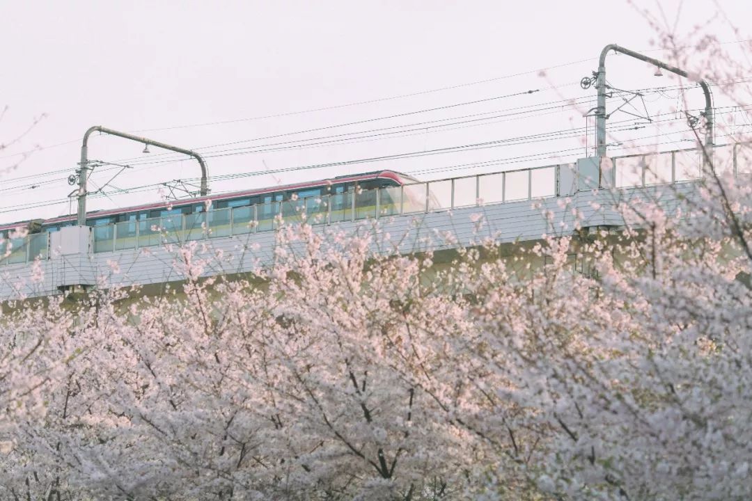 虹口体育场联赛,虹口体育场改造