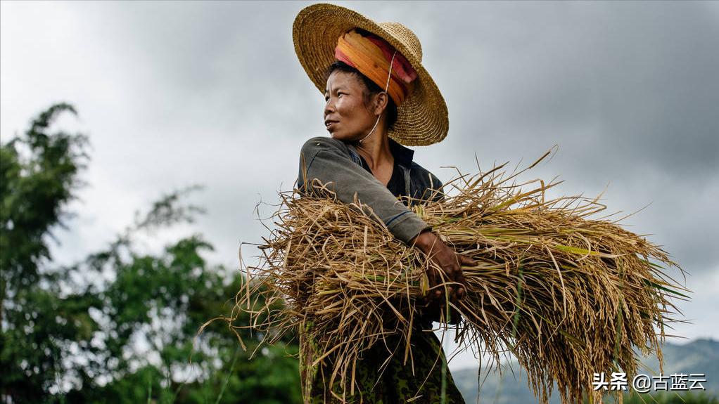 思想深度和广度,思考问题的广度和深度