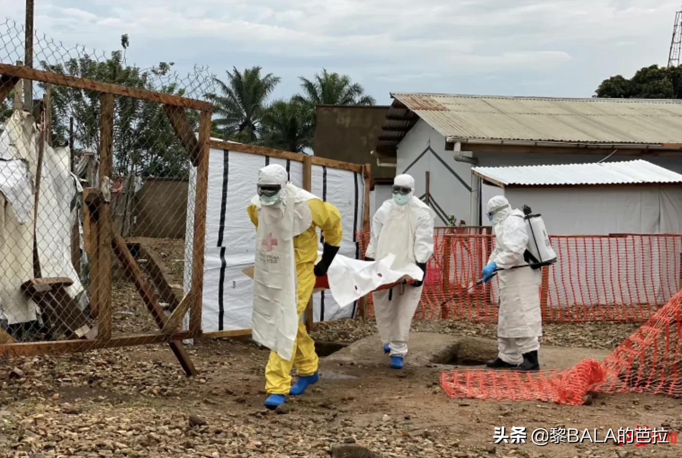 刚果金再现埃博拉病毒,刚果金爆发病毒死亡人数