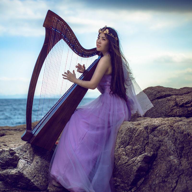 爱尔兰典型的传统乐器是竖琴,爱尔兰古代乐器