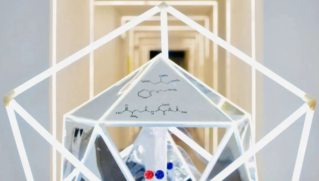 40岁女老板创首家一氧化氮“救命气”公司，明星机构抢投