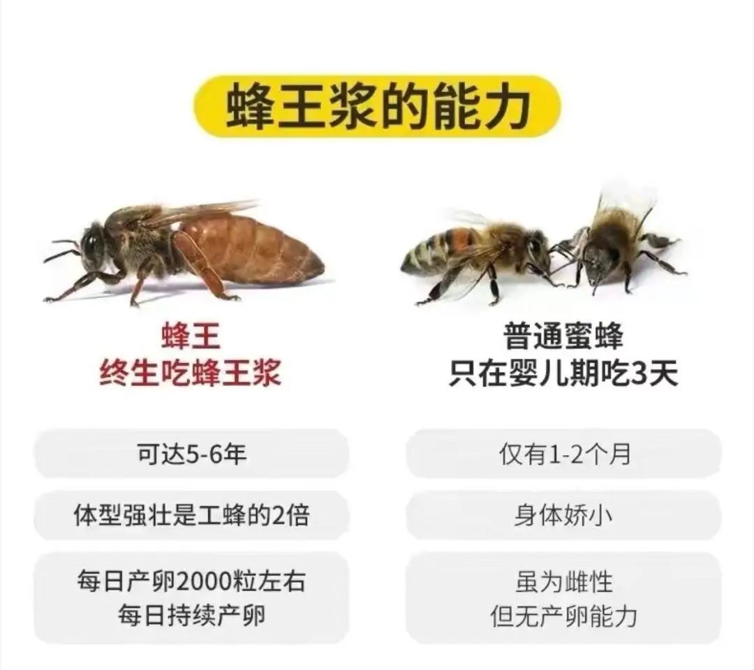 2023年全网点赞最多的搞笑段子,23年网络热门搞笑段子