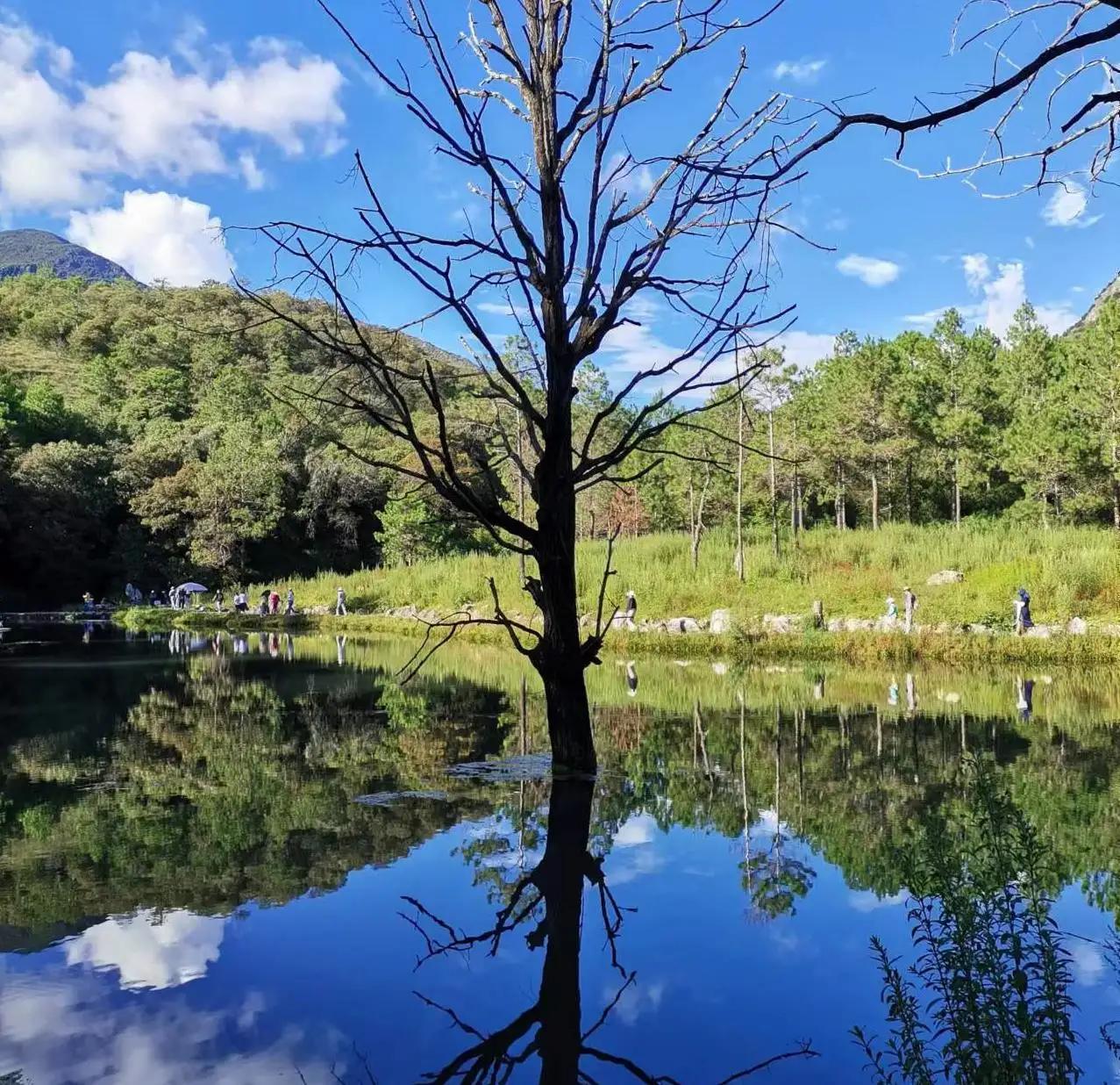 云南旅游跟团攻略不被坑,跟团去云南旅游如何不踩坑