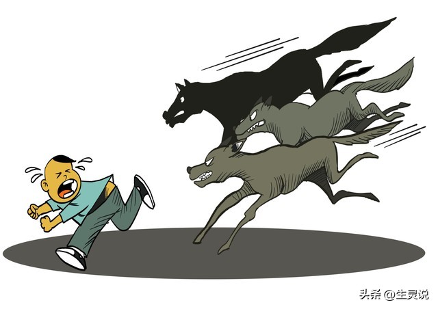 为何宠物狗咬人事件频发,最近狗咬人事件该怎么解决