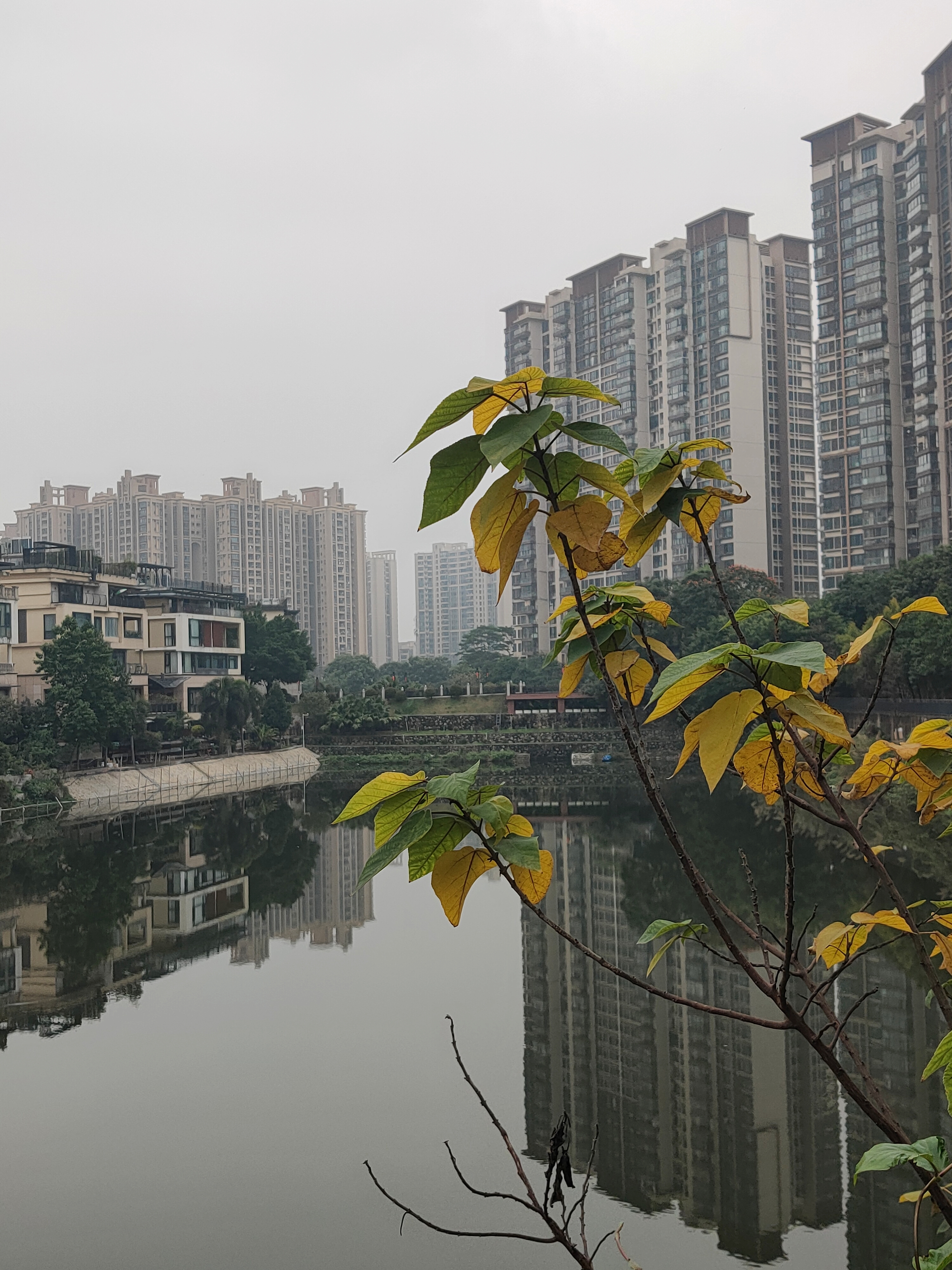 一花一世界一叶一菩提本来无一物,一花一世界一叶一菩提