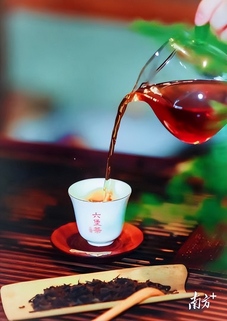 圣源茶业：槟榔陈香醇厚回甘，“侨销茶”勇闯茶王称号｜中国十大茶王参评茶企巡礼,130