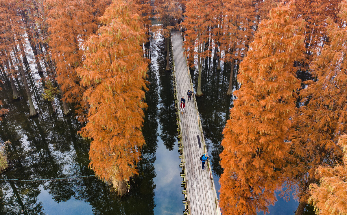 上海最新免费游玩景点推荐,上海旅游必去的五个免费景点