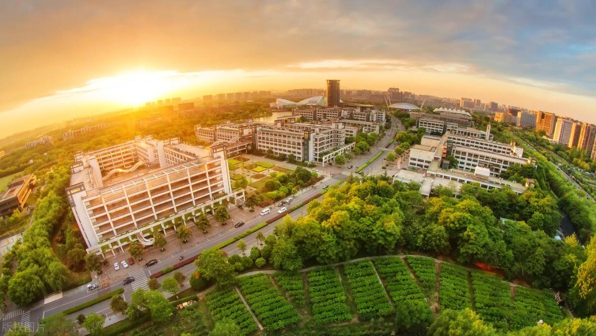 2023cuba全国总决赛宁波大学,浙江大学排行榜2021官方排名