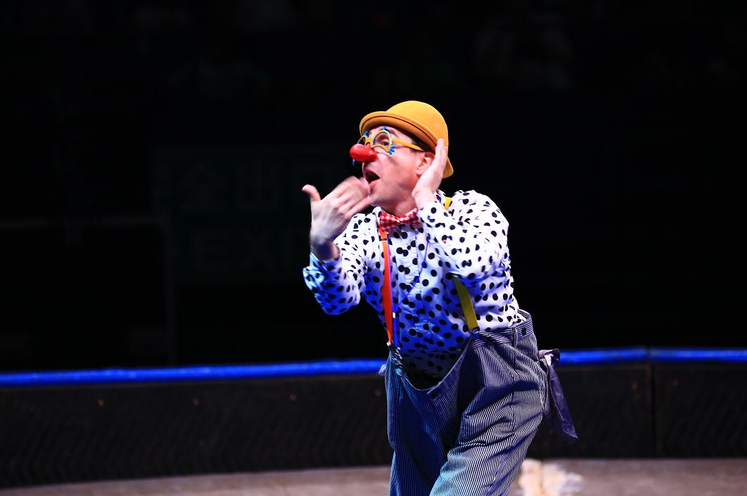 国际马戏小丑嘉年华天津,马戏小丑嘉年华怎么样