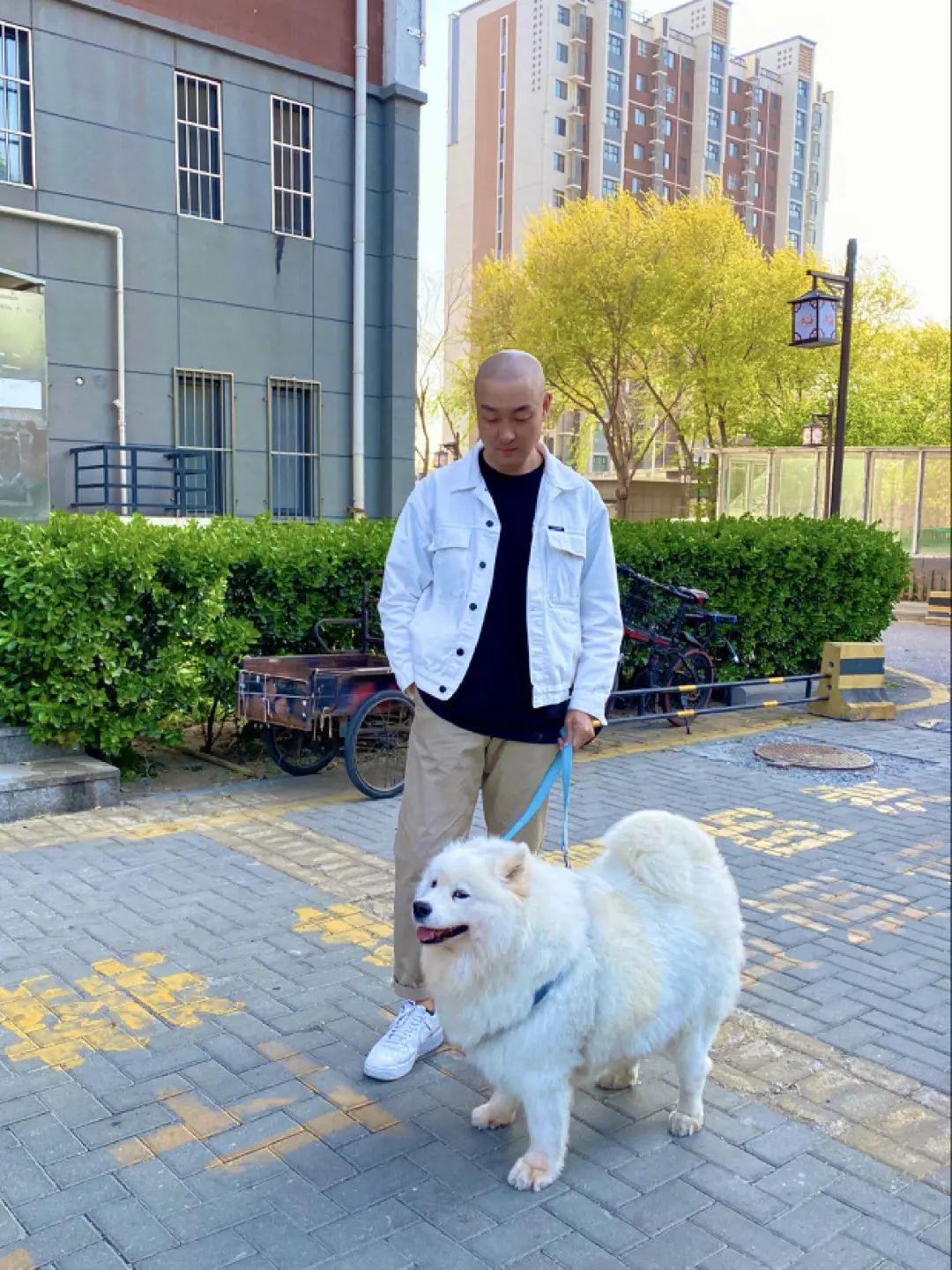 我，秃头，改学纹发后月入10万