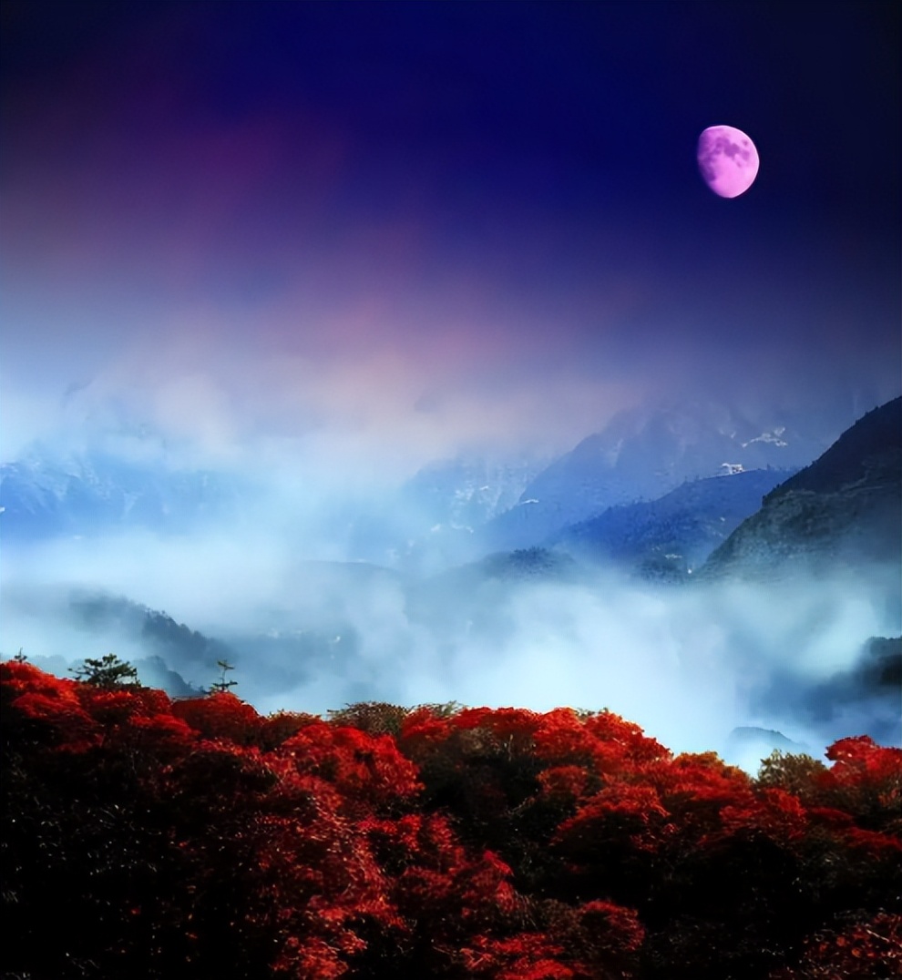 《月夜》古诗词鉴赏6篇,月夜的诗词有哪些表达了什么情感