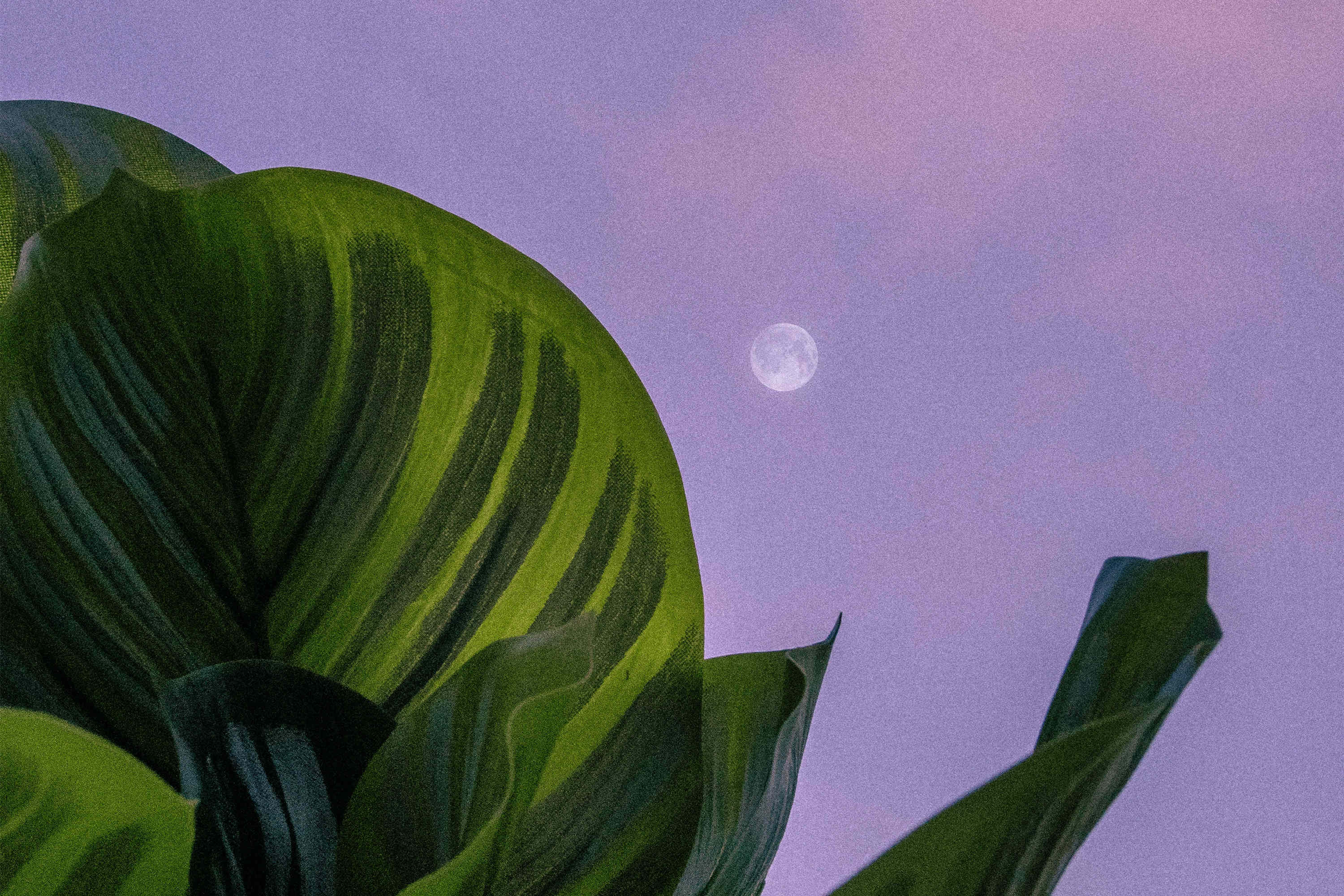 开放ip属地功能,平台开放ip属地功能意味着什么