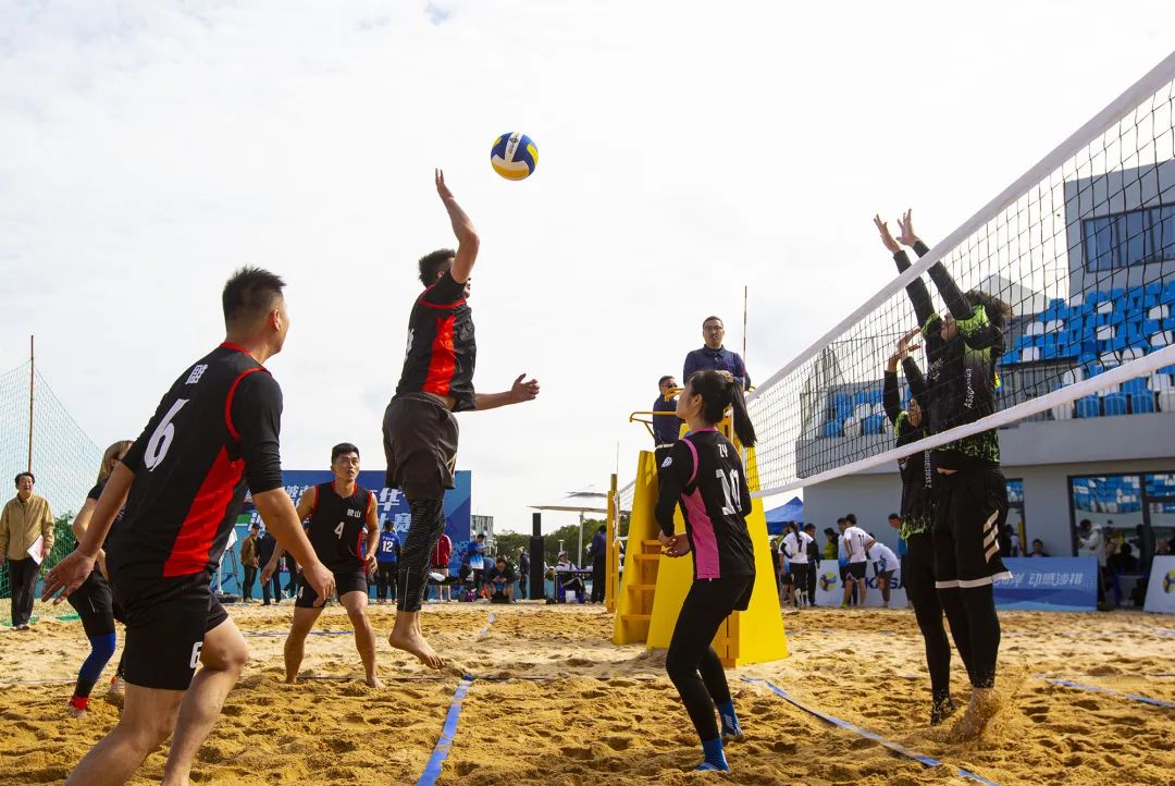 椹湳濂ヨ繍椤圭洰,椹湳涓撲笟鍦洪