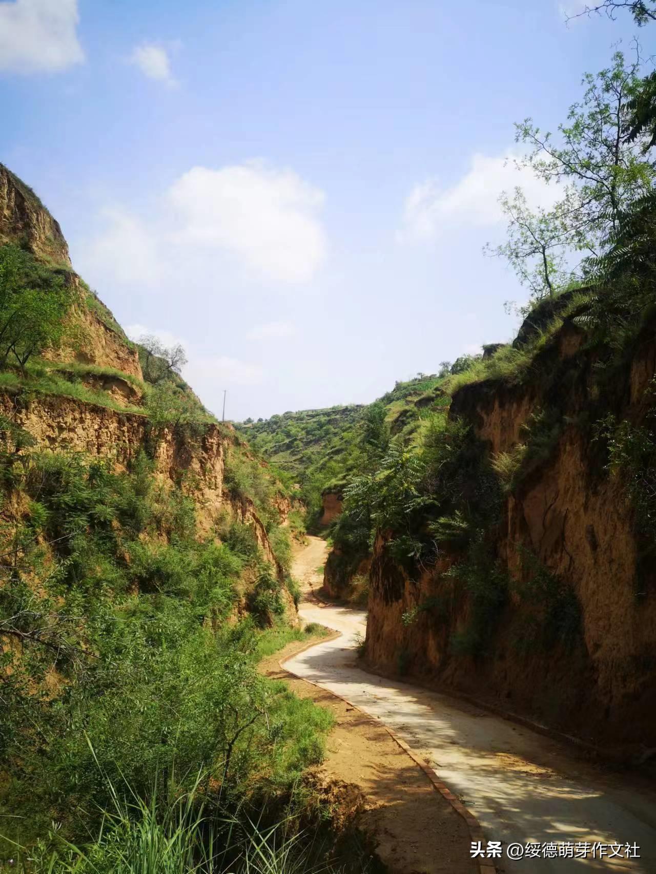 绥德李强国：从高舍硷到高石角