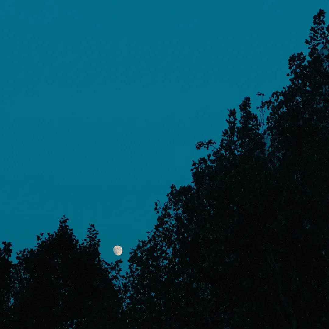 没有缺点的iphone13promax,iphone13promax与iphone13pro