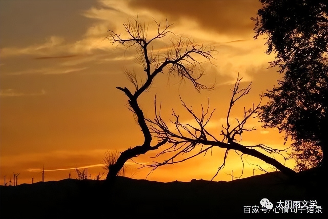 吴海燕30岁,夏天吴海燕