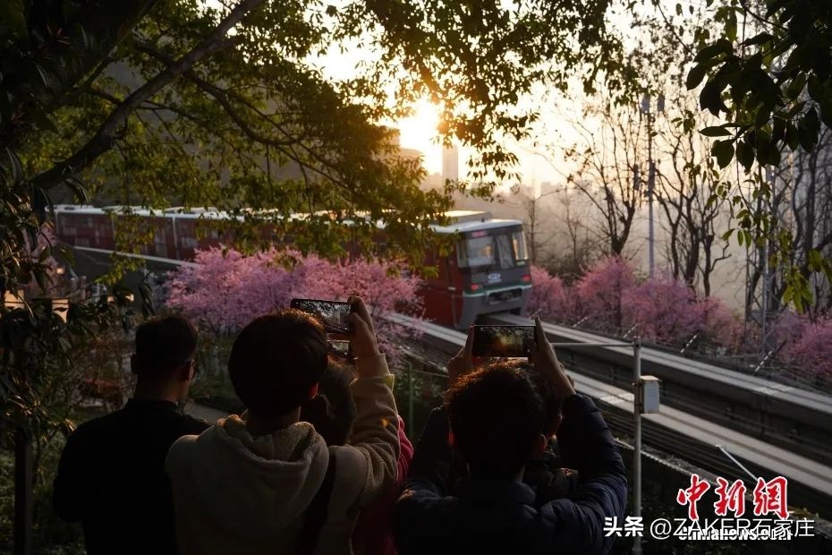 早新闻2.28|这样拼假，可连休9天！方案公示！涉石家庄3个旧区及城中村改造；封禁，冻结！微信严打此类行为