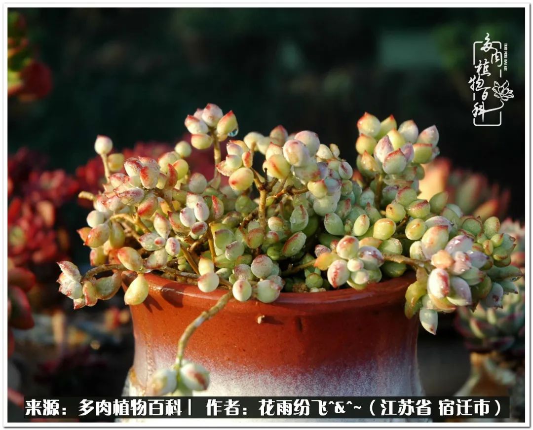 回味童年无忧无虑的快乐时光,童年最快乐的时光