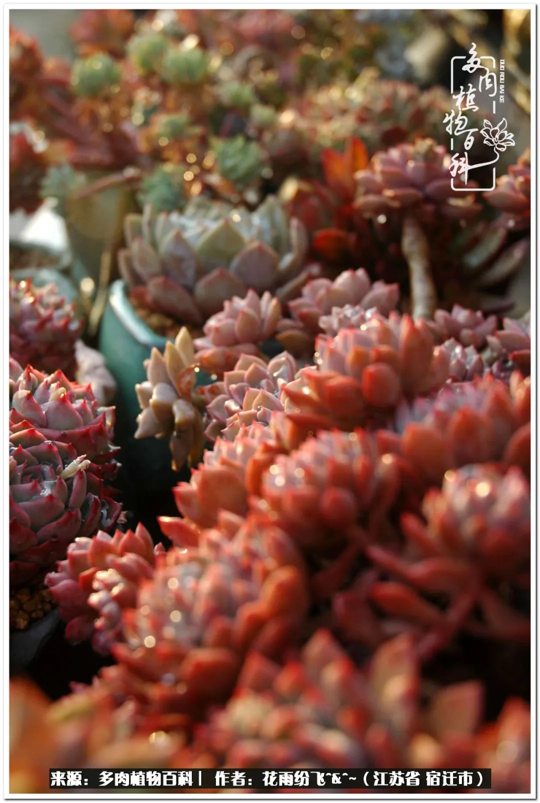 快乐的童年时光视频,回味快乐的童年美好的时光