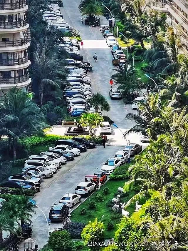 旅居海南：九所新区的浪漫情