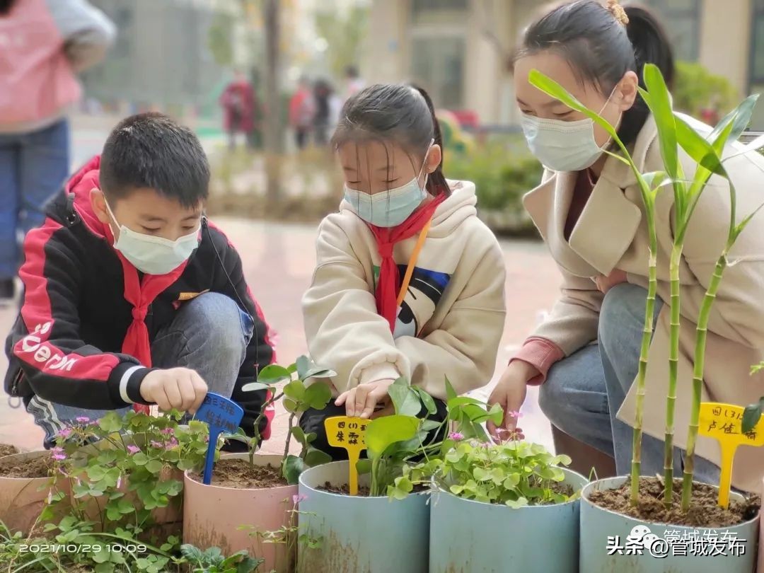 喜迎二十大建功新时代非凡十年,喜迎二十大奋进新征程微学校视频